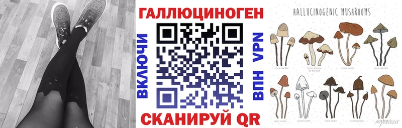 что такое наркотик  Городище  omg ССЫЛКА  Галлюциногенные грибы MAGIC MUSHROOMS 